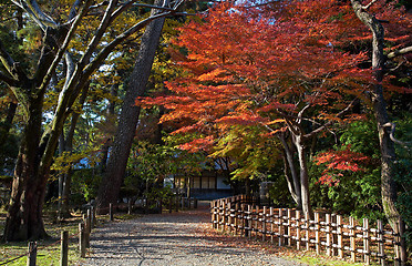 Image showing japanese tea house