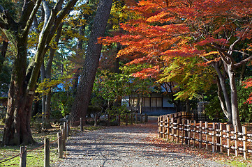 Image showing japanese tea house