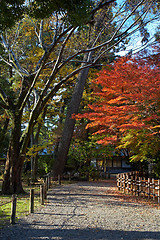 Image showing japanese tea house