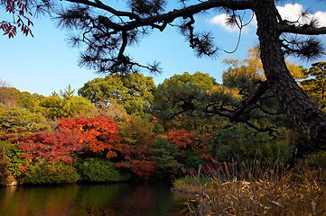 Image showing oriental landscape