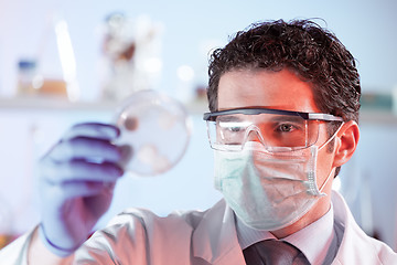 Image showing Life science researcher observing cells in petri dish.