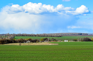 Image showing Rural landscape with a green field, clouds and farm