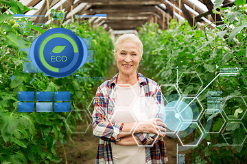 Image showing happy senior woman at farm greenhouse
