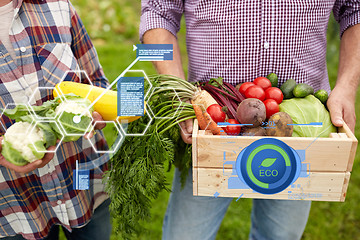 Image showing senior couple with box of vegetables on farm