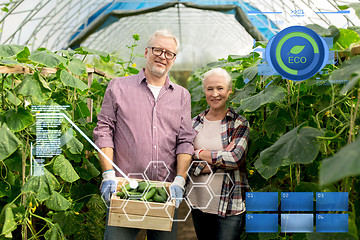 Image showing senior couple with box of cucumbers on farm