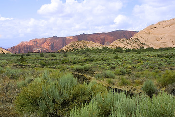 Image showing Snow Canyon - Utah