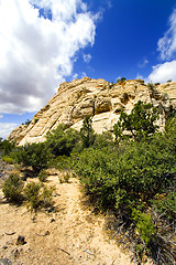 Image showing Snow Canyon - Utah