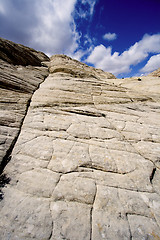 Image showing Looking up the Sandstones in Snow Canyon - Utah