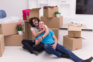 Image showing young  gay couple moving  in new house