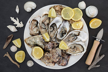 Image showing Plate of Oysters