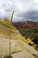 Image showing Looking down the Sandstones in to Snow Canyon - Utah