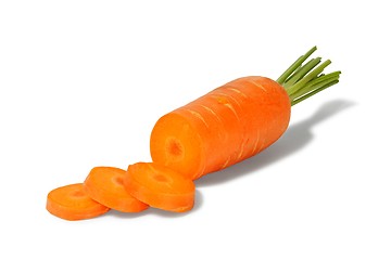 Image showing One Carrot on White Background