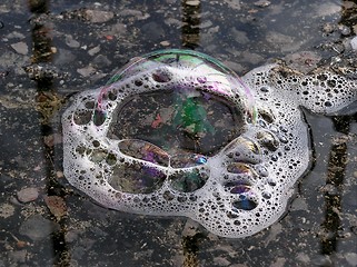 Image showing Bubbles