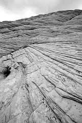 Image showing Looking up the Sandstones in Snow Canyon - Utah