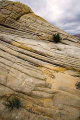 Image showing Snow Canyon - Utah