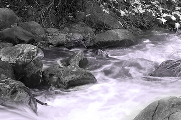 Image showing River during Spring