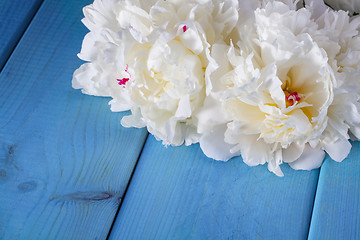 Image showing peony flowers