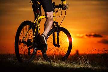 Image showing Sporty Man Riding a Bicycle on the Country Road.