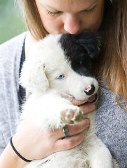 Image showing Small Border Collie puppy with blue eye in the arms of a woman