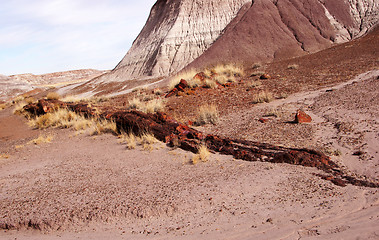 Image showing Petrified-Forest-National-Park, Arizona, USA