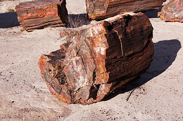 Image showing Petrified-Forest-National-Park, Arizona, USA