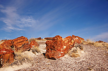 Image showing Petrified-Forest-National-Park, Arizona, USA