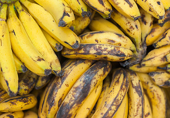 Image showing Bananas