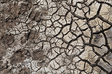 Image showing dry cracked ground surface