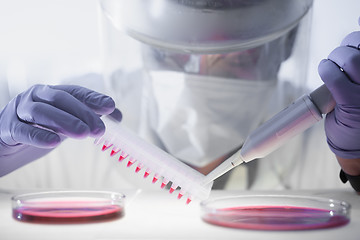 Image showing Working in the laboratory with a high degree of protection