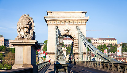 Image showing BUDAPEST, HUNGARY - 2017 MAY 19th: lion statue at the beginning 