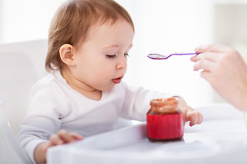 Image showing mother feeding baby with puree at home