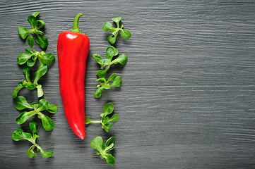 Image showing One red Kapia pepper with valeriana salad on a dark shale