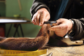 Image showing Workshop, studio furrier