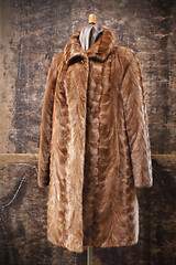 Image showing Mink coat.