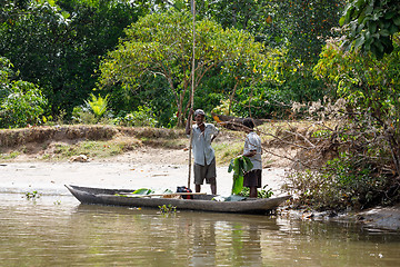 Image showing Life in madagascar countryside on river