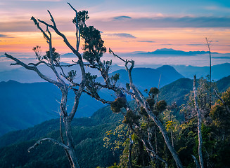 Image showing Morning view in Papua