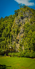 Image showing Caves with graves