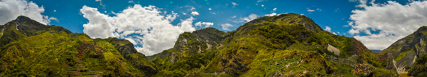 Image showing Greenery in Wamena