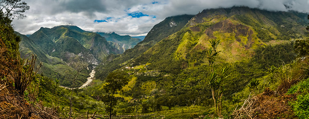 Image showing Jungles in Dani circuit