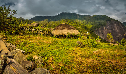 Image showing Traditional house in Wamena