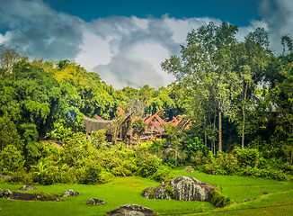 Image showing Nature in Toraja region