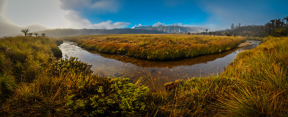 Image showing Calm river in Trikora