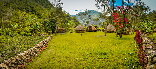 Image showing Village in Wamena