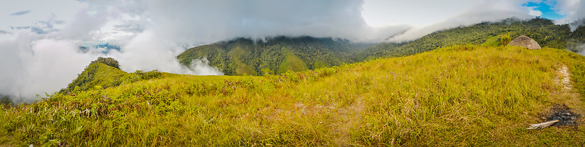 Image showing Large fields of grass