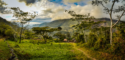 Image showing Rich greenery in Wamena