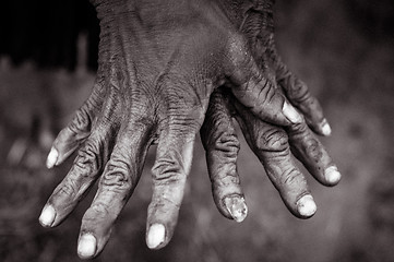 Image showing Womans wrinkled hands