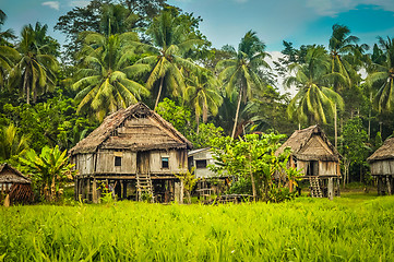 Image showing Houses in Palembe