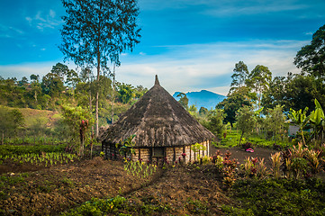 Image showing Small house with garden