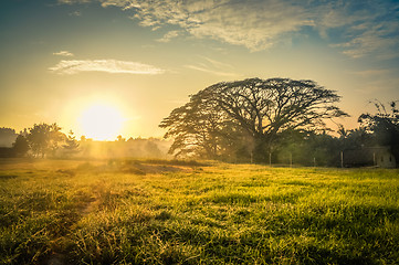 Image showing Morning mist in Maprik