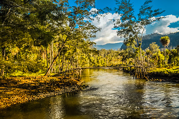 Image showing Simple bridge on river